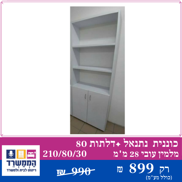 דגם 81